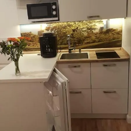 Studio Opera Apartment